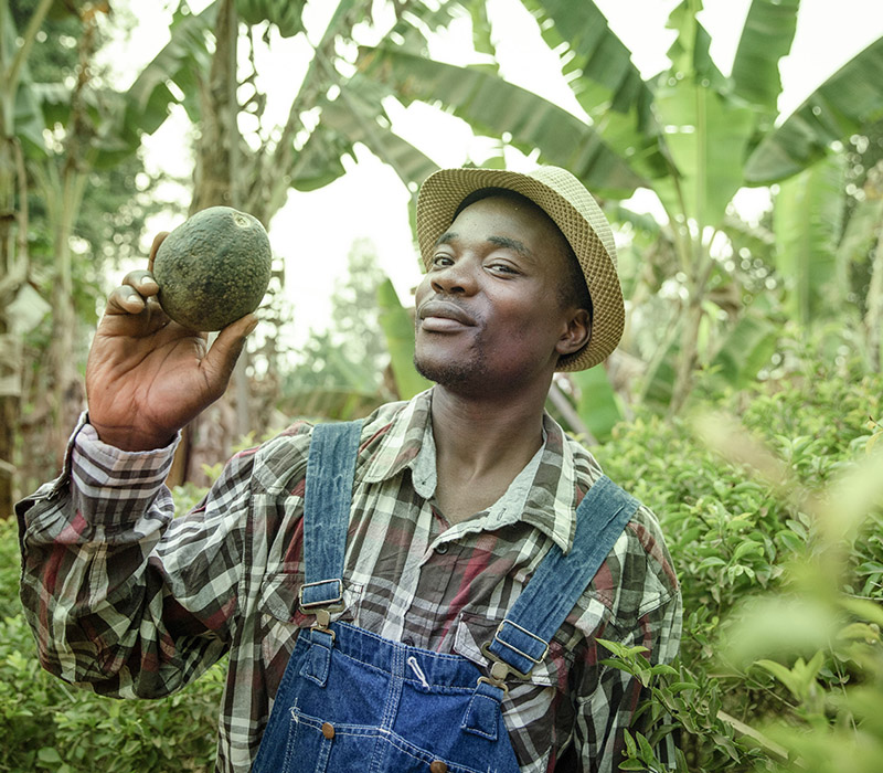 Fresh vegetables at African market